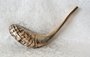 Prachtige grote Ramshoorn Shofar (Kosher) van ongeveer 45-50 cm lengte, gemeten over de bocht